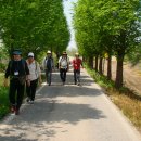 황구지길 이미지