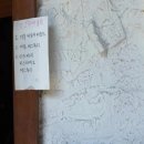 보람있는빵집 | 경주 일요일에만 만날 수 있는 빵집, 녹음제과 라즈베리피스타치오페스츄리 후기