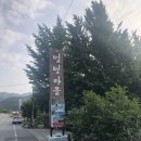 청도별빛마을펜션캠핑장