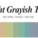 컬러바이조