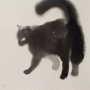 멋진 고양이 이미지