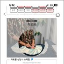 타로몽 이미지