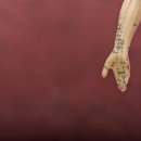 덕산한의원 이미지