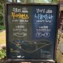 가평남이섬 케이팝호텔 | 남이섬 여행 코스 놀거리 볼거리 즐길거리 투어버스 주차 총정리