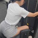 로하핏스튜디오 이미지