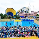 용두태권도스쿨 이미지