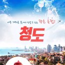 드림여행사 이미지