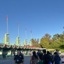 Beauty in Dog's | (Orlando, FL) Walt disney world, 디즈니월드,할리우드 스튜디오, 2024.11.16 Sat 2일차