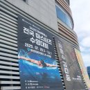 제100회 전국체육대회 4강 | 🎤 사회자 섭외 포트폴리오 | 전국 마스터즈 수영대회 현장 진행
