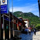 계룡산약국 이미지