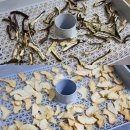 쌍둥농장 이미지