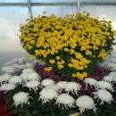 부부공인중개사사무소 이미지