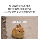 왈라