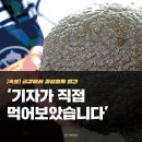 위대한 강의 삶과 죽음 - 금강요정 4대강 취재기 이미지