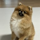 예뻐지냥 | 나의 일상을 기다리셨나?