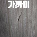 세종기술단 이미지