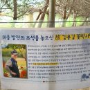 내산4리 | 강원도 원주 용수골 꽃양귀비 축제 오픈런 후기! (주차, 요금, 꿀팁)
