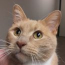 기장i동물의료센터 이미지