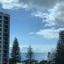 씨월드 피시 | 골드코스트 3일차 일정｜Sea World + Roma Pizzeria