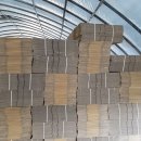 박종상농장 이미지