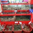 창하회식당 이미지