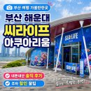 가상의 현실 | 여기 진짜 가보셨나요? 부산 해운대 아쿠아리움 아이랑가볼만한곳 상어먹이기공연 레고체험 솔직후기