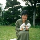 라이브빙고 이미지