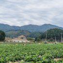 자운2리 마을회관 이미지