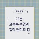 쌤쌤의영어회화 | 영어후기 | 부평 영어회화 추천! 영어날다에서 경험한 25분 고농축 수업과 밀착 관리의 힘