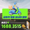 도화동퀵서비스 - 마포구 마포대로 49 | 도화동퀵서비스