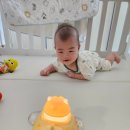 빛나는 도서관 | 엄마가 사랑한 장난감(옥토퍼스 오케스트라, 빛나는 멜로디 오뚝이)