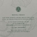 (주)클린업네트워크 | 히디프 버블토너/카밍세럼/로얄피니시크림/캡슐선크림/클린키트 내돈내산 찐 후기 (한달 반 사용 후기)