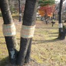 설악파크 이미지