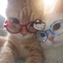 방배로32길 17-11 | 1월 일상 260101~260131 / 26년도 가보자고🍀