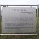신영철묘갈 Daum카페