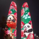 광장18호 | 중국 청두 여행 팬더 기지 방문 후기