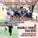 크로스핏무도_2 | 춘천 크로스핏 웨어하우스 주말 일상 봄맞이 벚꽃런 완주 &amp; 뜨거웠던 하이록스 훈련 후기