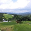 포레스트31 이미지