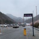 엘리시안강촌스키투데이렌탈샵 이미지