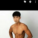 아이레포텔