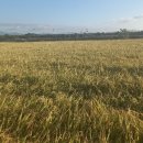 신세계농장 이미지