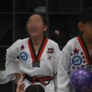 라이온 태권도 이미지