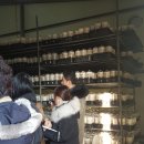 늘픔농장 이미지