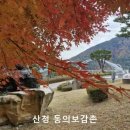 달마산&산청 동의보감촌&항암배추 이미지