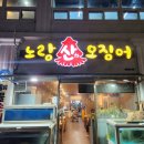 노랑산하오징어 이미지
