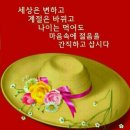 함평나비메주된장 이미지