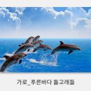 풍수부동산중개사무소 이미지