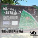 황령산유원지 생태숲 이미지