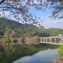 사월의 인사 02 이미지