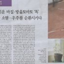 E/ 커버스토리/ 집에서 채소 기르기/ 내가 키운 바질·방울토마토 ‘똑’ 탄생과 소멸…우주를 순환시키다(민중이 깨어나야 나라가 바로 선 이미지